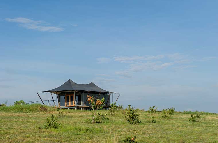 Mara Mara Tented Lodge