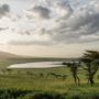 Safari v Ngorongoro