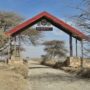 Safari v Serengeti a dalších národních parcích severní Tanzanie