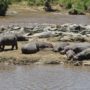 Safari v Serengeti a dalších národních parcích severní Tanzanie