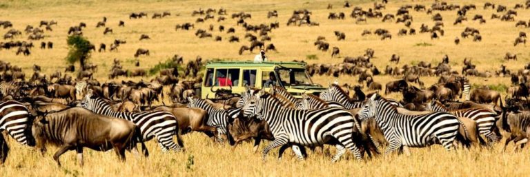 Safari autem za Velkou migrací v Serengeti