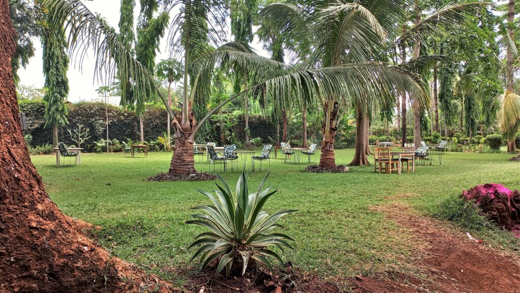 Chanya Lodge